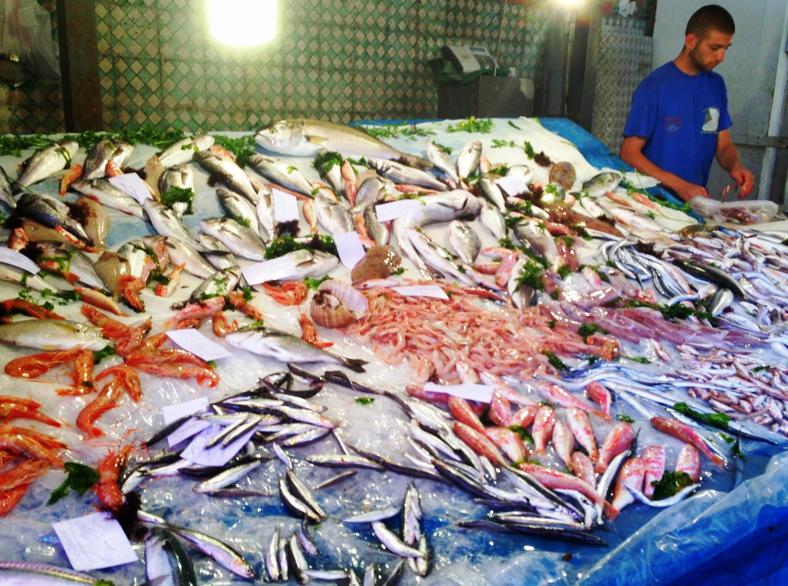 BLU AUBERGINE MARKETS Mercato di Pesce in Catania, Sicily