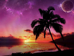tropical night beaches beach sunset moon sunsets hawaii ocean wallpapers island