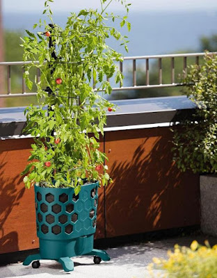 Honeycomb Tomato Planter