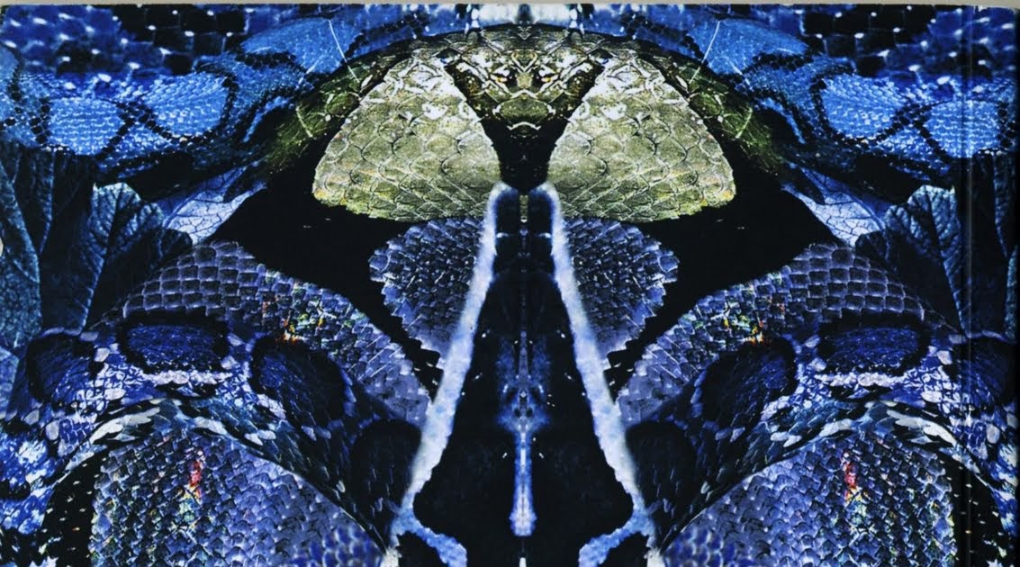 black snake print alexander mcqueen