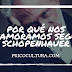 Por qué nos enamoramos según Schopenhauer