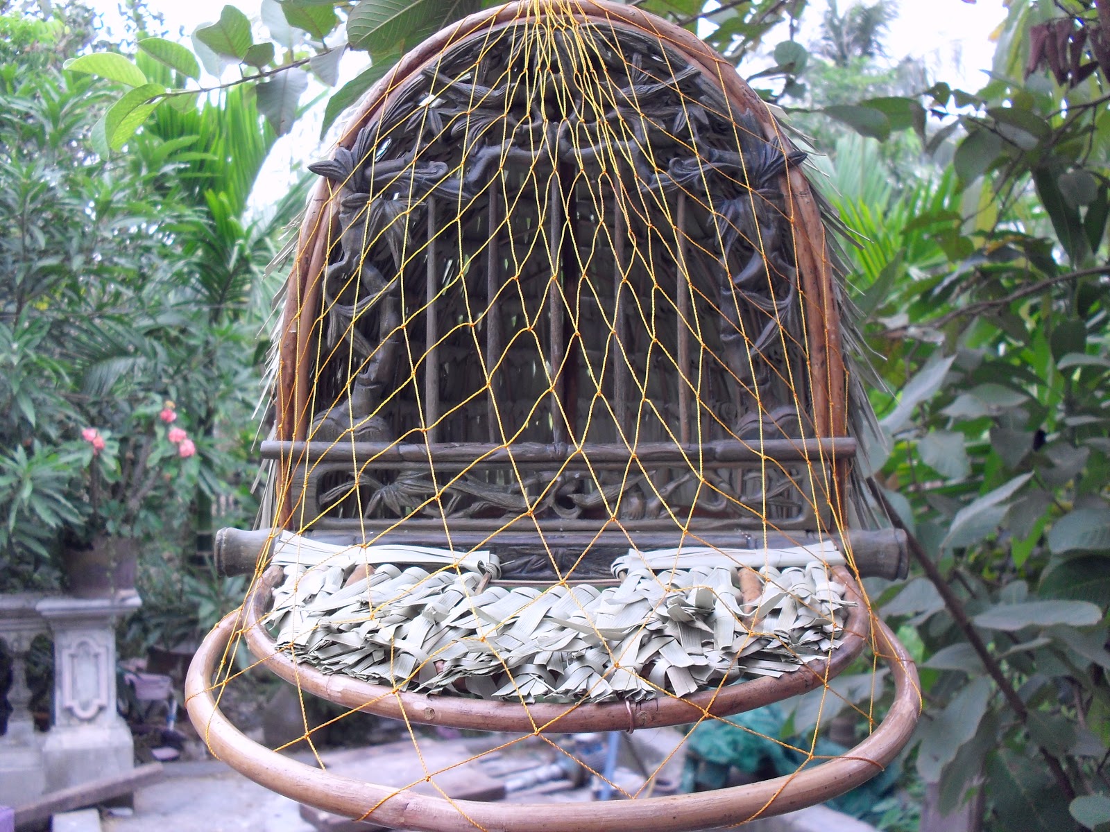 SDC13551.JPG
