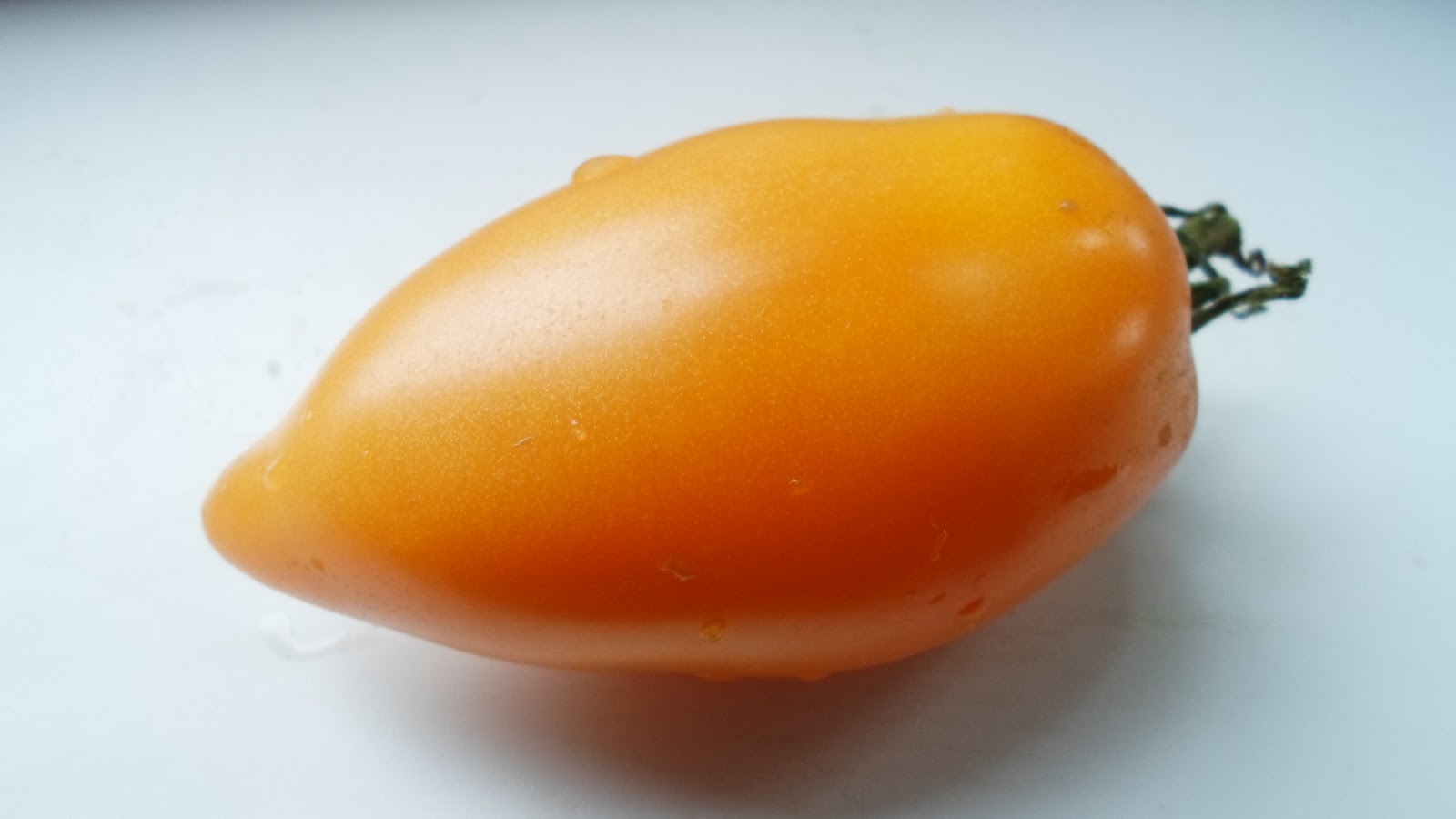 Томат манго джанго. Манго джанго отзывы. Манго джанго отзывы. Томат манго джанго характеристика и описание сорта. Помидоры сорт манго джанго.