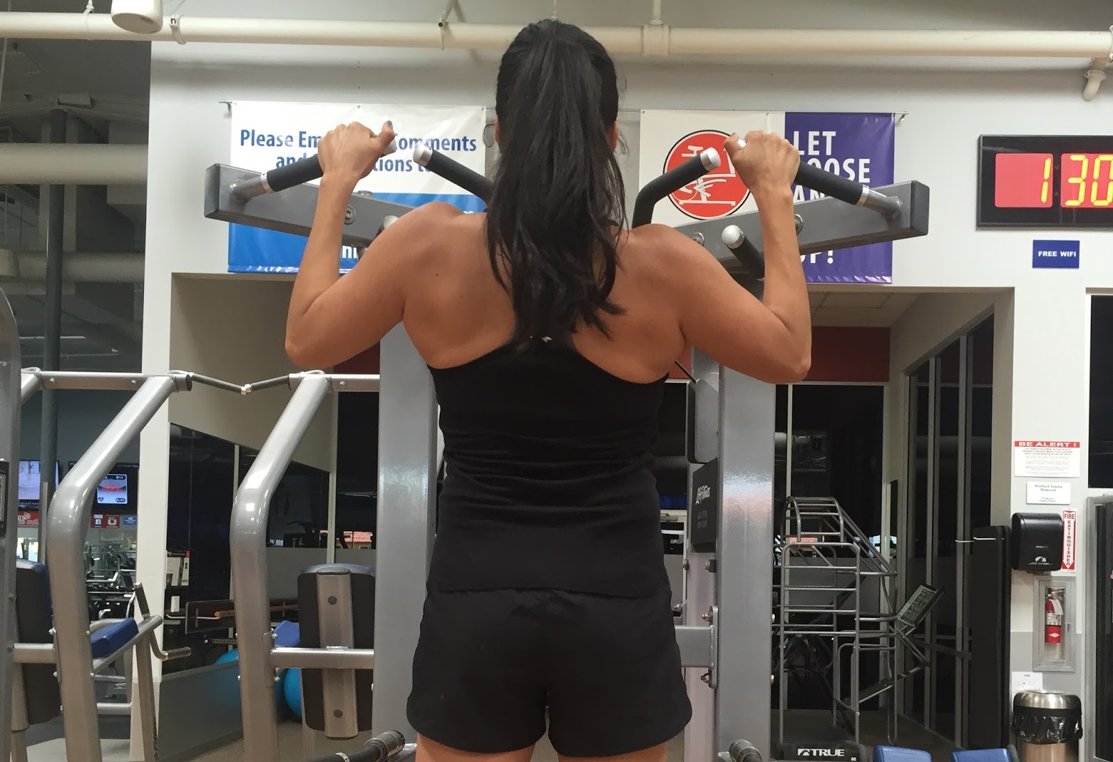 Top 5 Back Exercises and Tips - The Active Habitat
