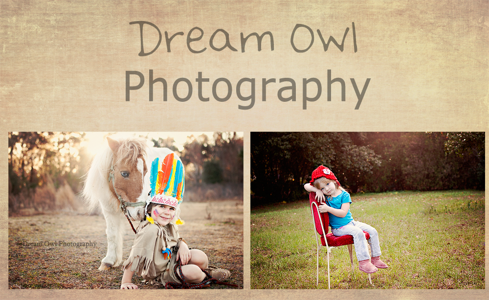 Dream Owl Photography