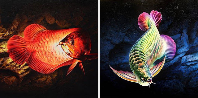 Inilah 16 Gambar Ikan Warna