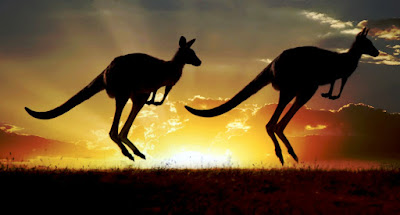 Kangurular Neden Yürüyemez?, Kanguru Anatomisi, Kanguru Fizyolojisi, Kanguru İskelet Yapısı, 