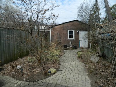 Paul Jung Gardening Services a Toronto Gardening Company Parkdale Spring Backyard Garden Cleanup Before Paul Jung Gardening Services a Toronto Gardening Company Parkdale Spring Backyard Garden Cleanup Before