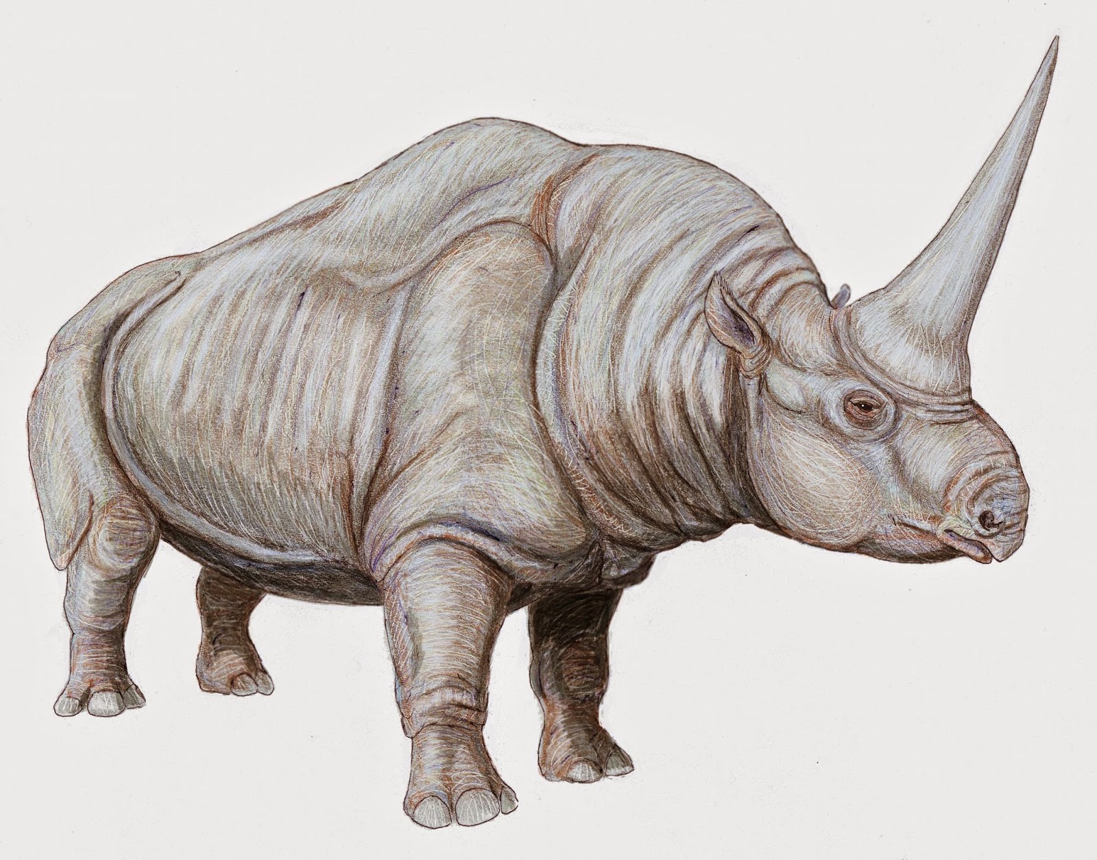 Extinct Animal of the Week: 2014