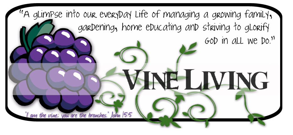 Vine Living