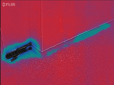 Sustainable Mycology: Water leak detection with FLIR one IR camera