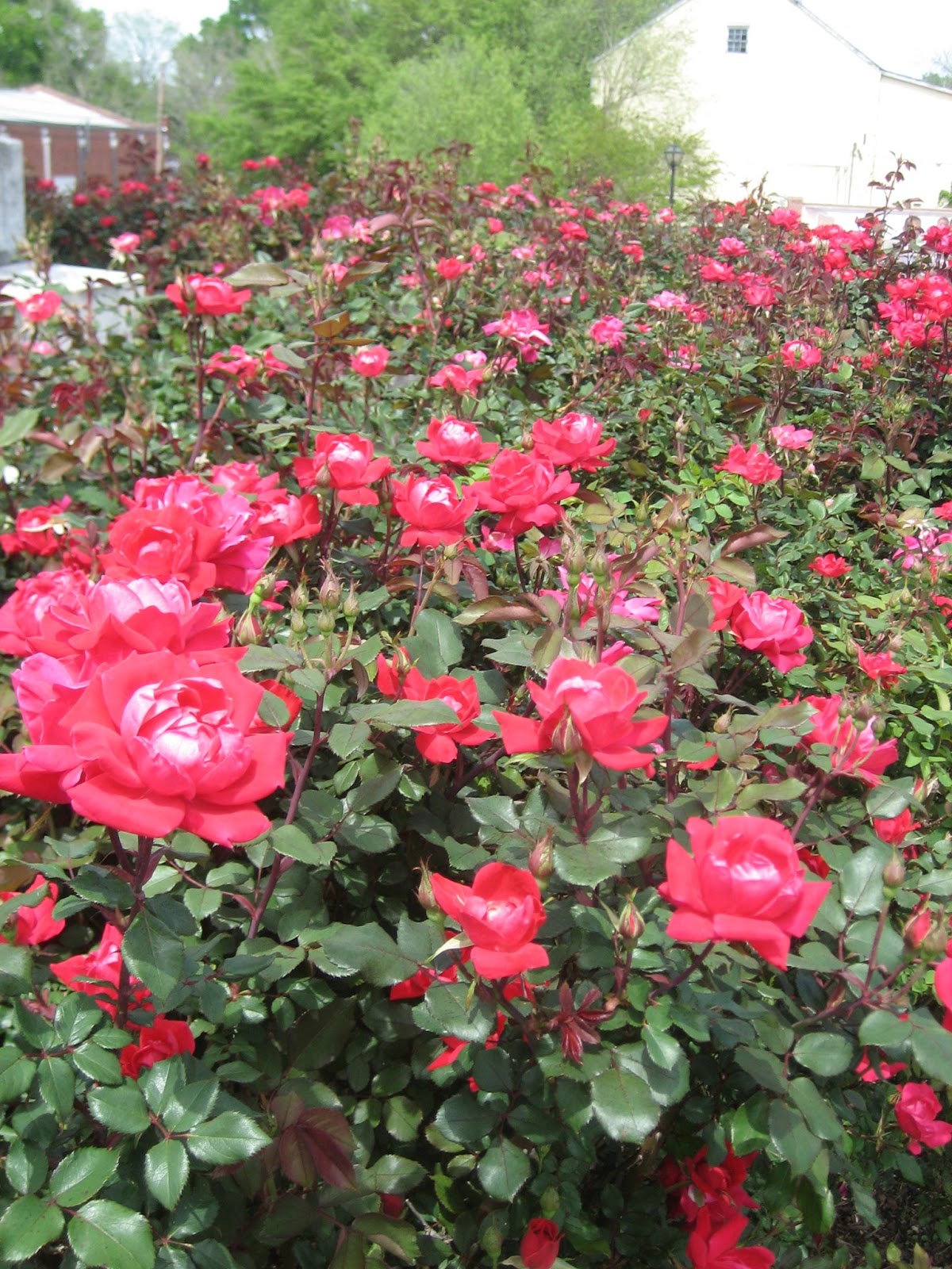 Cummings...and goings...: Week in Review: April 7 through 13 - Grand ...