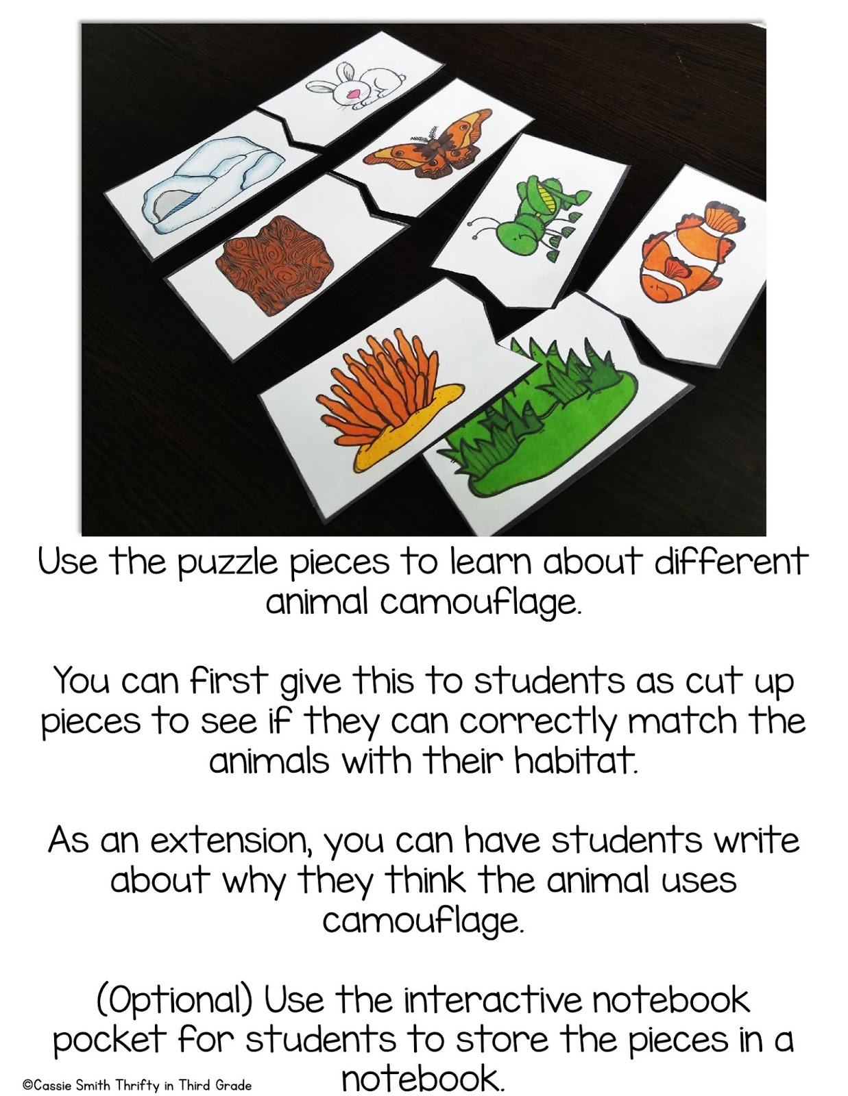 Interdependent Relationships in Ecosystems 3rd Grade NGSS | Thrifty in