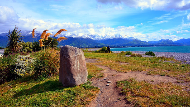 Landscape and Mountains in New Zealand