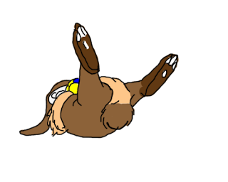 how to make animation in Flash how to make animation in Flash