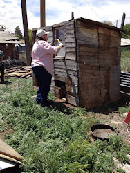 chicken dream coop eagle haven west