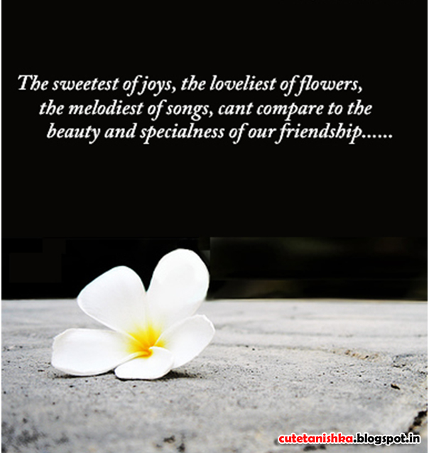 Best Friend Quotes: Friendship Quotes