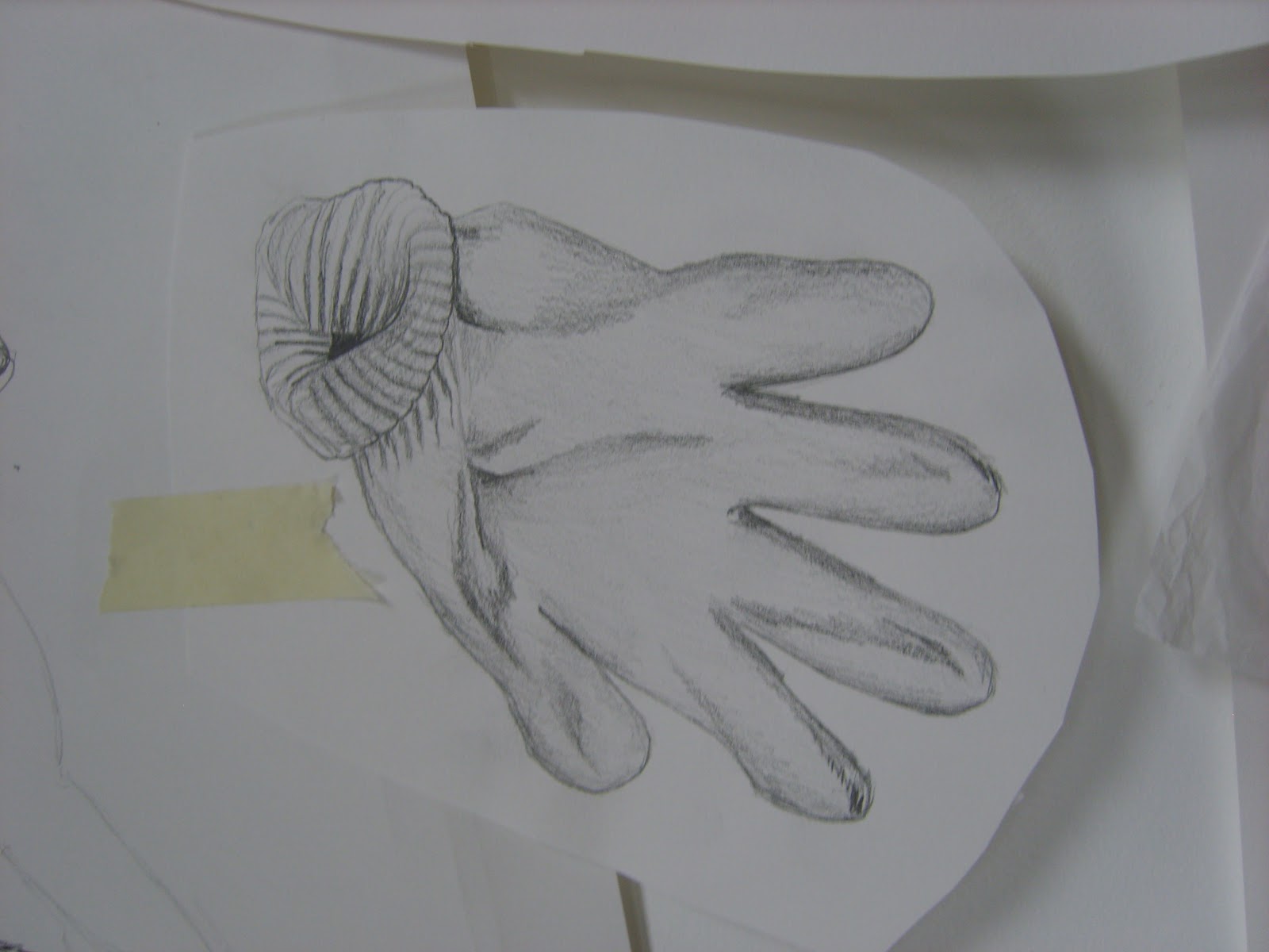 Mabel Lowman Art: Design visualisation: observational drawing and ...