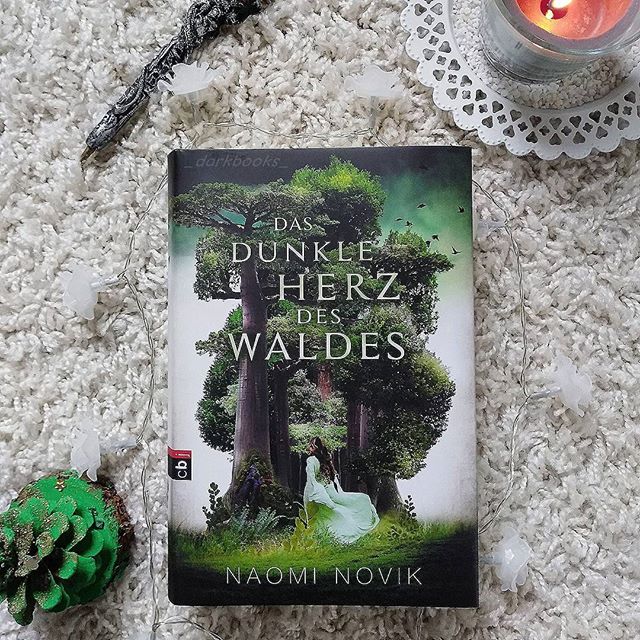 Das dunkle Herz des Waldes Naomi Novik