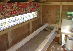 chicken poop boards chickens droppings coops coop chick board roost happens inside because plans cleaning dropping dummies shelf roosts floor