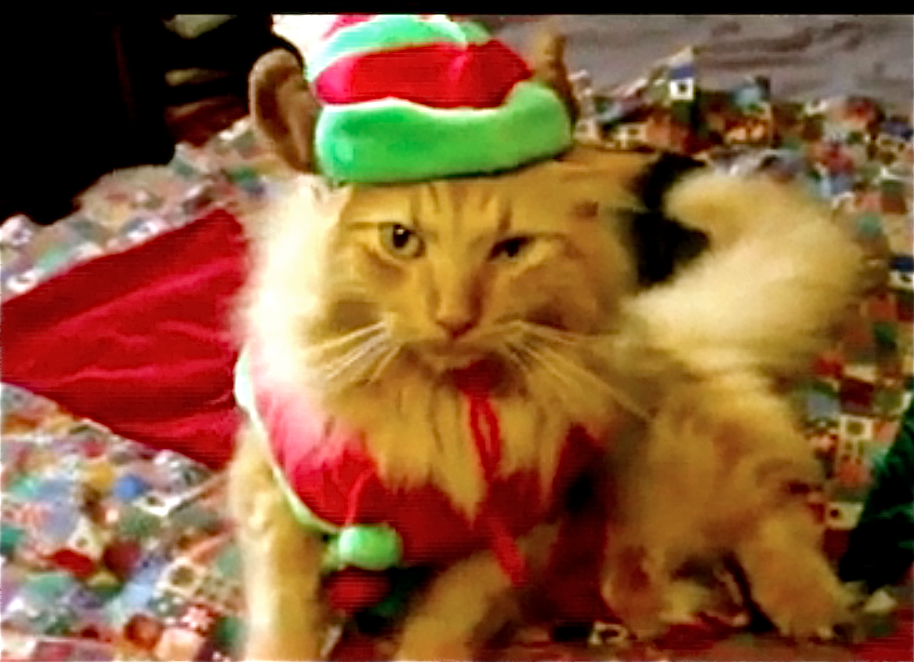 eDOOZIE Jingle Bells tune sung by animals