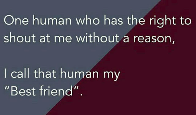 Best Friendship sayings