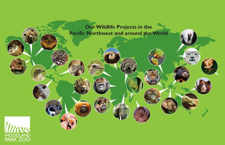 Voice your choice with Quarters for Conservation