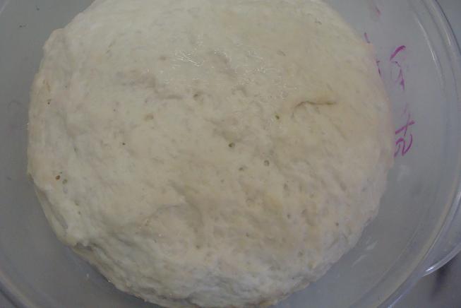 Learning Knowledge to Make Pizza: Stretch-Out Lehmann Dough Experiment ...