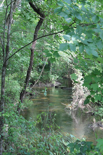Shady Brook Shady Brook