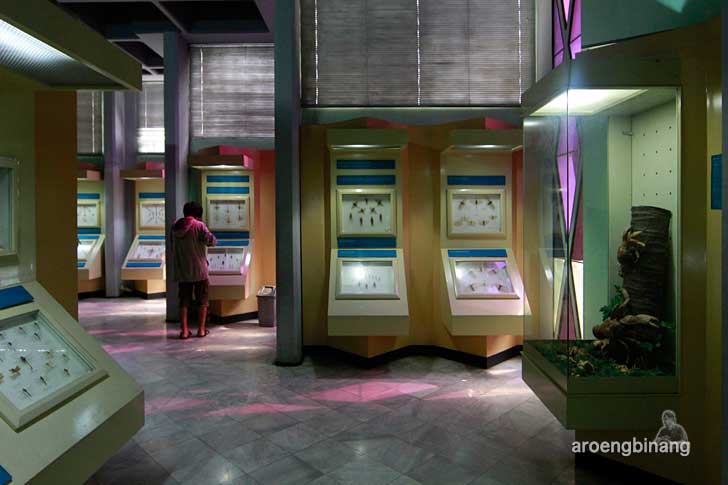 museum serangga dan taman kupu-kupu tmii
