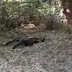 Corpo é encontrado em estado de decomposição em Pombal