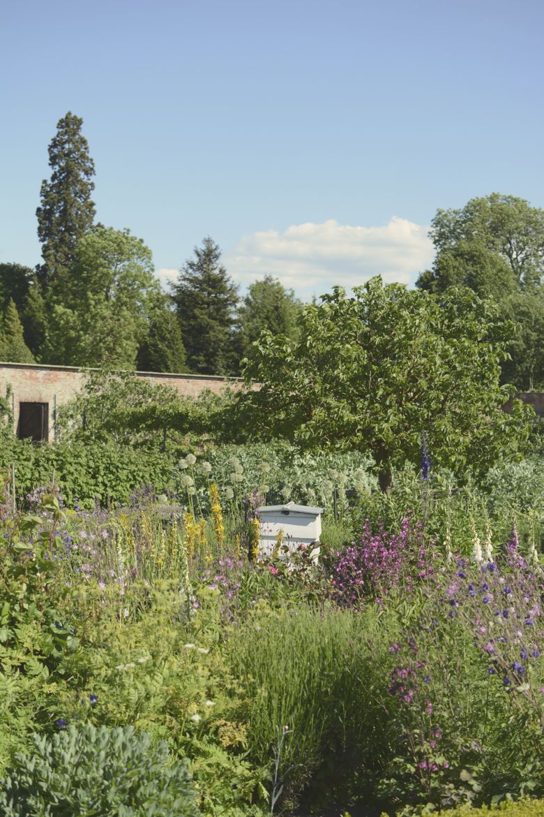 weald blog | walled gardens at wimple estate #wimpoleestate #walledgarden