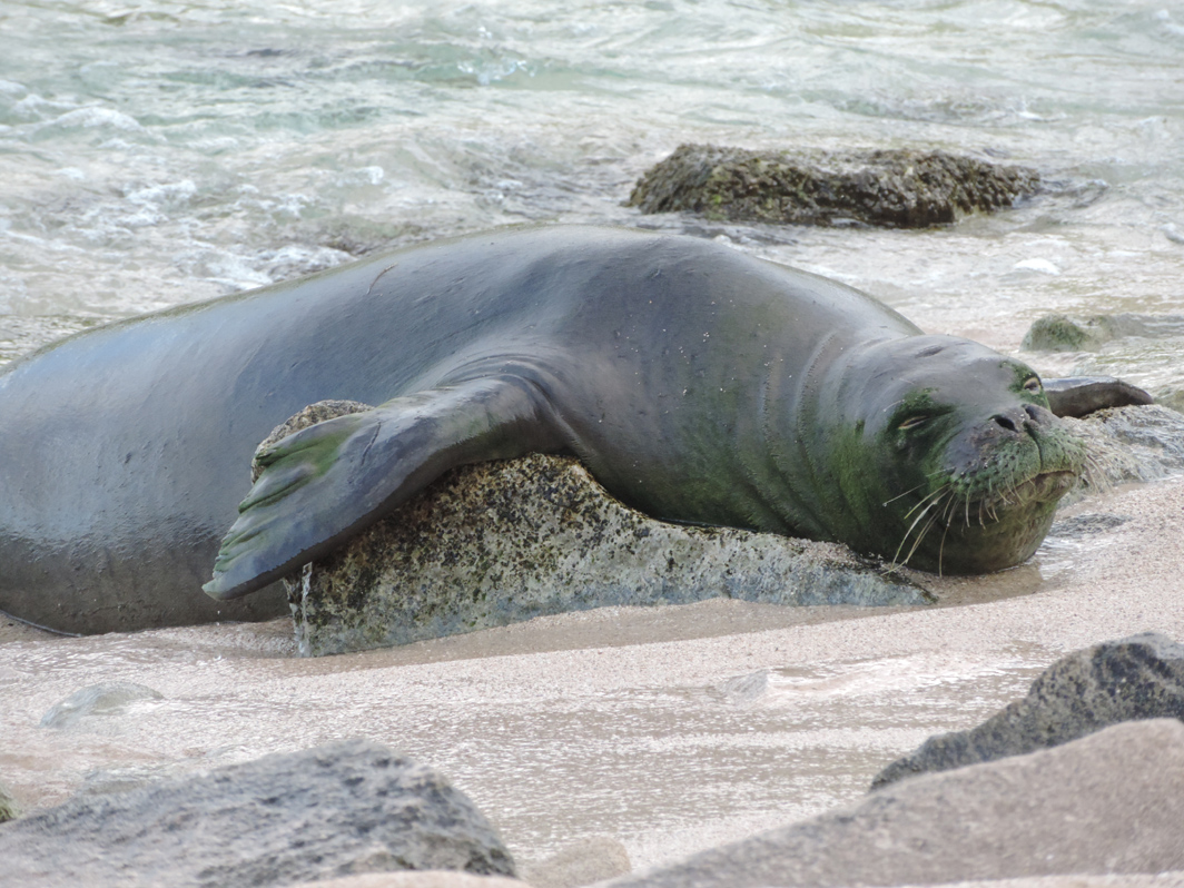 8122013 Team Billand Pohaku & Benny at