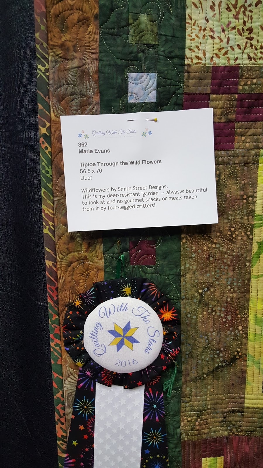 Tales from The Raspberry Rabbits Raleigh Quilt Show Part 2