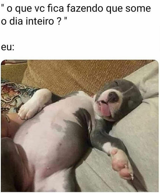 Memes engraçados Memes engraçados