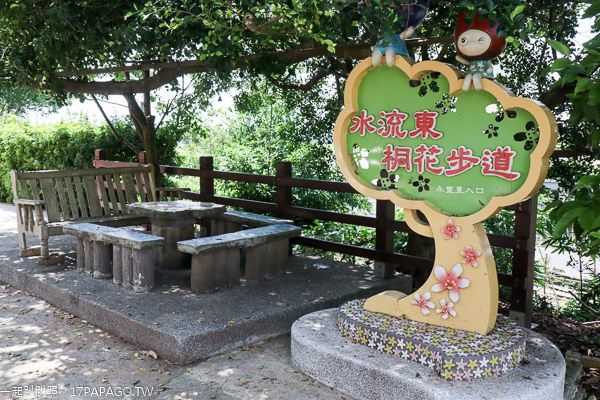 台中外埔|2019水流東桐花步道|高鐵觀景台|賞桐花近距離觀賞高鐵呼嘯而過 台中外埔|2019水流東桐花步道|高鐵觀景台|賞桐花近距離觀賞高鐵呼嘯而過