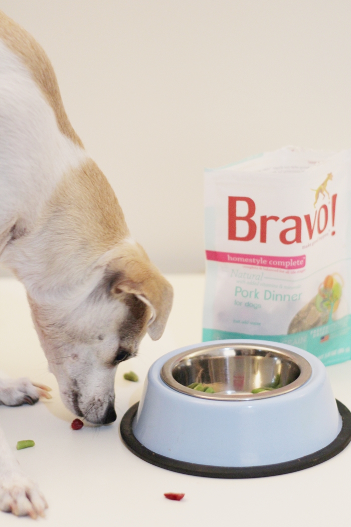 HAPPYHAZEL Bravo Raw Dog Food Homestyle Complete Dinners Review