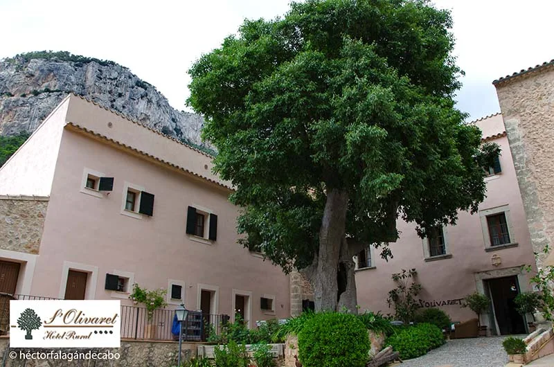 S´OLIVARET Hotel rural en Sierra de Tramuntana, Mallorca. Fotografías por Héctor Falagán De Cabo | hfilms & photography.