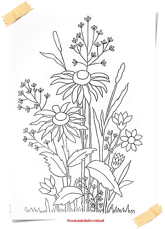 Malvorlagen für Erwachsene Blumen und Pflanzen Flowers