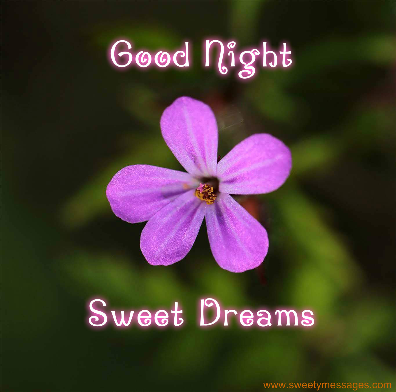 HAVE A NICE SLEEP IMAGES - Beautiful Messages