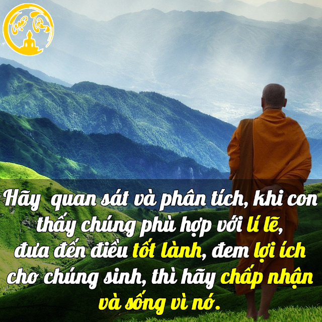 Những lời Phật dạy sẽ làm thay đổi cuộc đời bạn, cùng đọc và ngẫm nhé! Những lời Phật dạy sẽ làm thay đổi cuộc đời bạn, cùng đọc và ngẫm nhé!