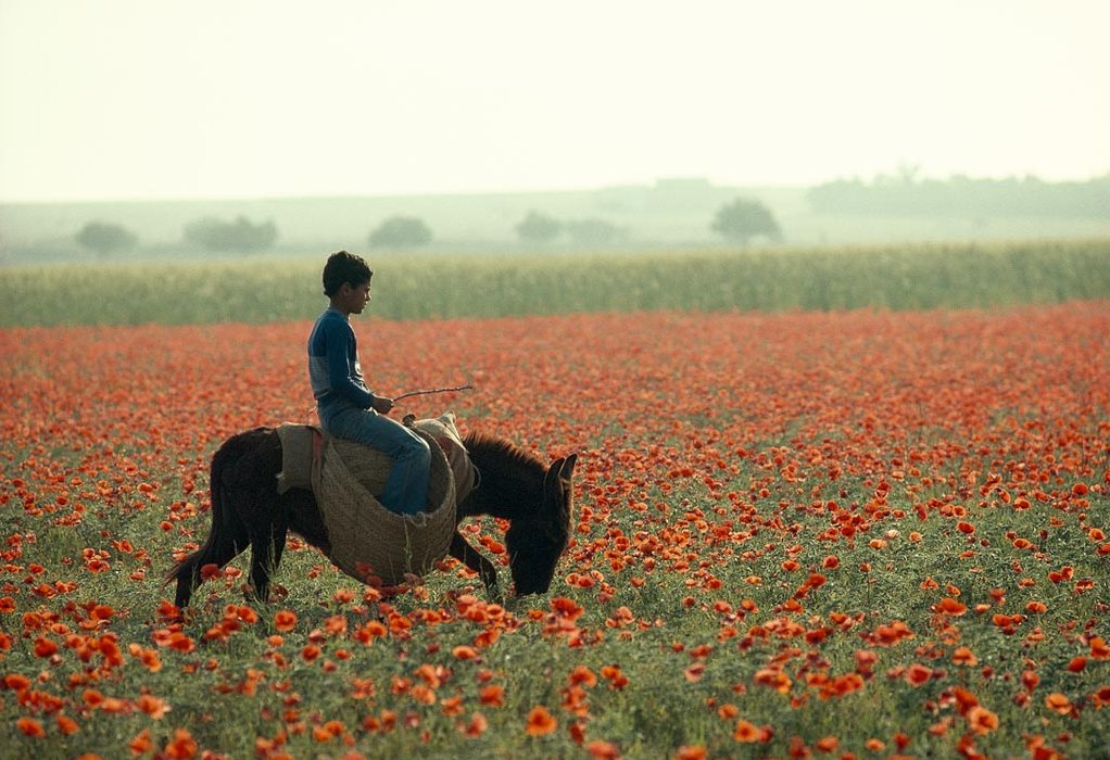 GİZLENEN TARİHİMİZ Ağustos 2016