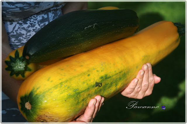 ogórki w carry, ogórki na ostro-słodko, pomidorki koktajlowe, Cucumbers With Curry, pantry