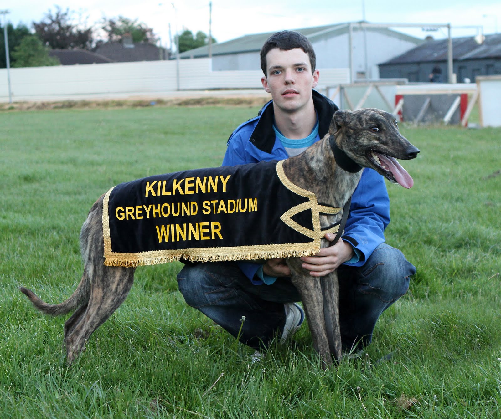 Kilkenny Dogs Red Mills Champion Unraced 2011.. as it happened