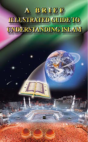 A  Brief Illustrated Guide Understanding Islam
