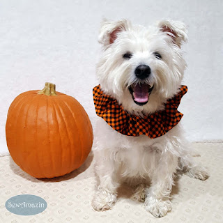 Halloween Checkered Plaid Dog Scrunchie Ruffle, Orange and Black