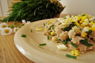 Ricetta pasta di farro con agretti e uovo sodo per bambini foto Ricetta pasta di farro con agretti e uovo sodo per bambini