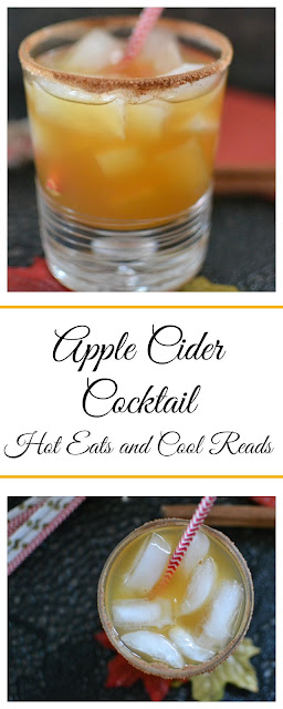 Packed full of delicious fall flavors and a cinnamon and sugar rimmed glass? Total perfection! Apple Cider Cocktail Recipe from Hot Eats and Cool Reads