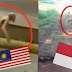 Tidak Hanya di Indonesia, Penampakan Sosok Makhluk Misterius Juga Muncul di Malaysia!