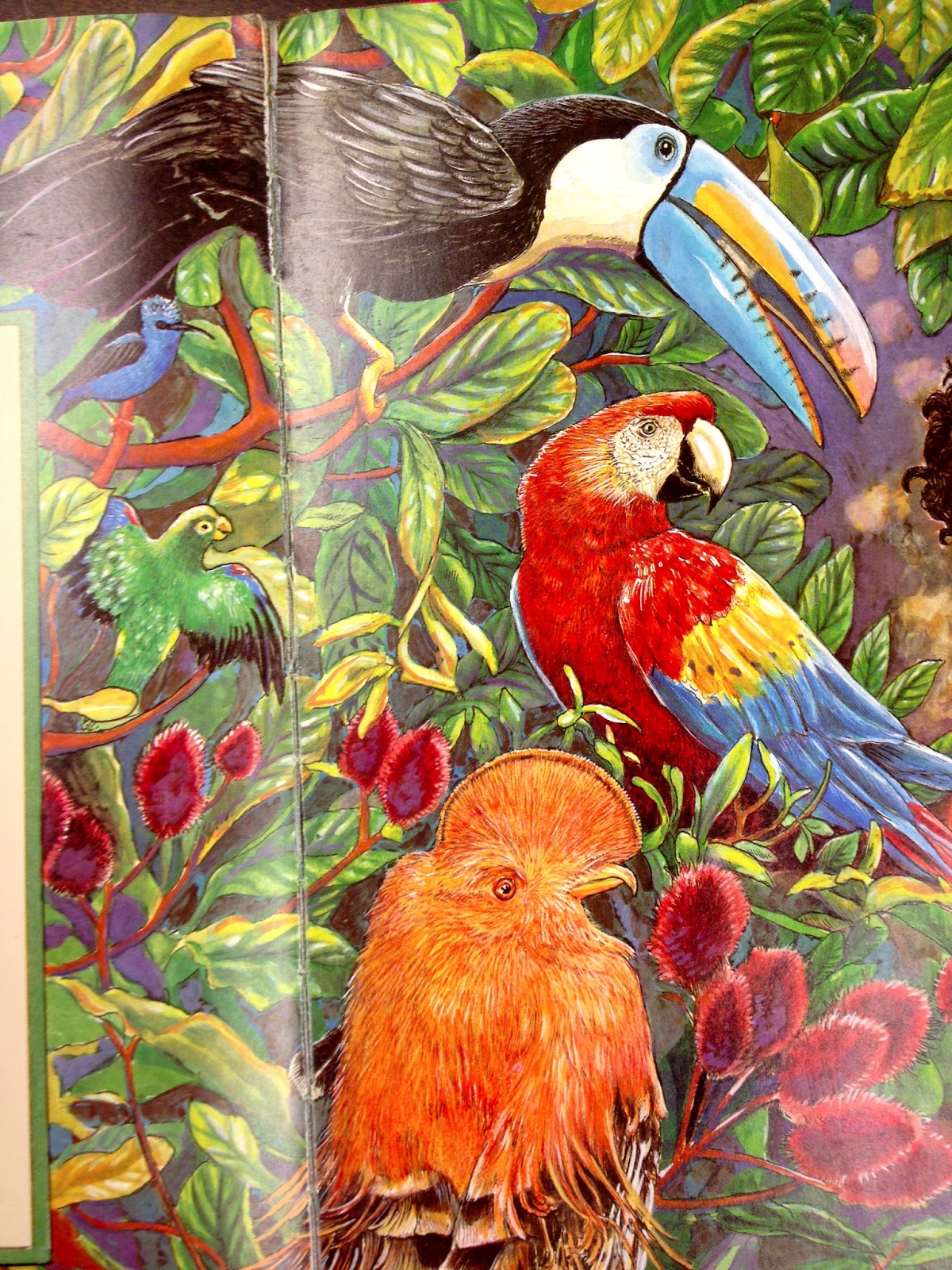 Ms. Tulbure's Classroom Blog March 2013